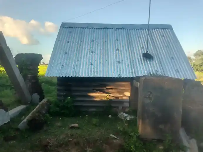 Arulmigu Srinivasa Perumal Temple, Puthankottagam - 614705 அருள்மிகு சீனிவாசபெருமாள் திருக்கோயில், Puthankottagam - 614705, Thiruvarur - Ancient Temple Architecture and History Image 7