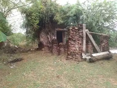 Arulmigu Srinivasa Perumal Temple, Puthankottagam - 614705 அருள்மிகு சீனிவாசபெருமாள் திருக்கோயில், Puthankottagam - 614705, Thiruvarur - Ancient Temple Architecture and History Image 11