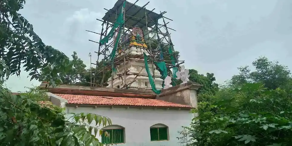 Arulmigu Srinivasa Varatharaja Perumal Temple, Lalgudi - 621601 அருள்மிகு சீனிவாசவரதராஜப்பெருமாள் திருக்கோயில், Lalgudi - 621601, Thiruchirappalli - Ancient Temple Architecture and History Image 5