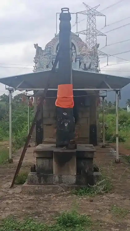 Arulmigu Srinivasaperumal Temple, Aalathudaiyanpatti - 621010 Temple