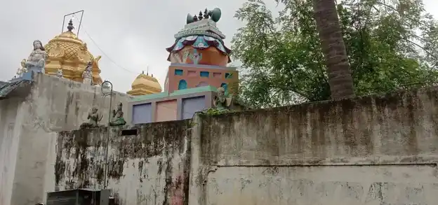 Arulmigu Srinivasaperumal Temple, Thanipadi Vellore - 606707 Arulmigu Srinivasaperumal Temple, Thanipadi Vellore - 606707, Tiruvannamalai - Ancient Temple Architecture and History Image 3