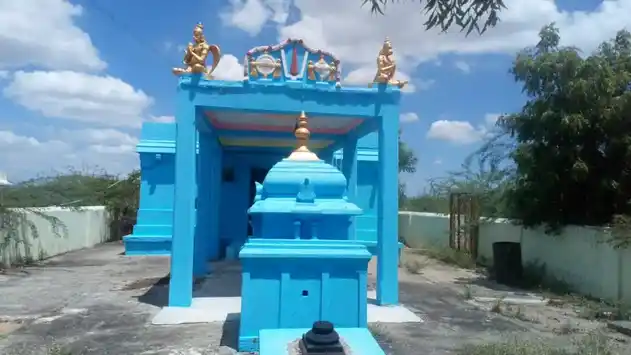 Arulmigu Srinivasaperumal Temple, Vadakarai - 609314 Temple