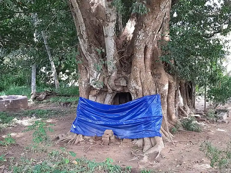 Arulmigu Srisastha Temple, Erukalambadu, Keelmidalam - 629157