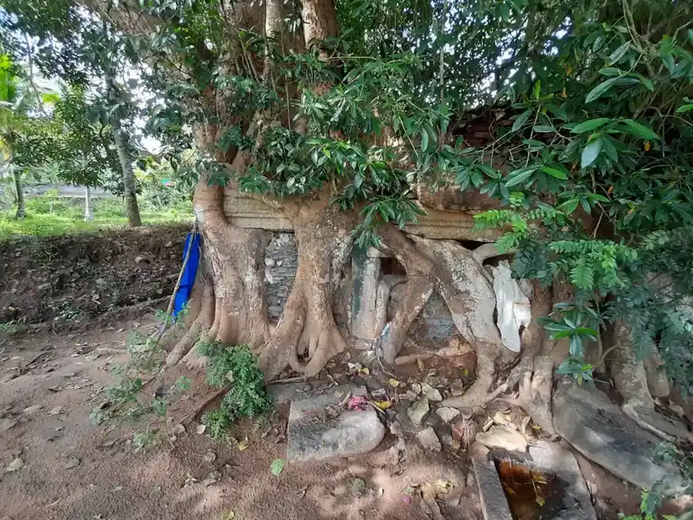 Arulmigu Srisastha Temple, Erukalambadu, Keelmidalam - 629157 அருள்மிகு ஸ்ரீசாஸ்தா திருக்கோயில், Erukalambadu, Keelmidalam - 629157, Kanyakumari - Ancient Temple Architecture and History Image 2