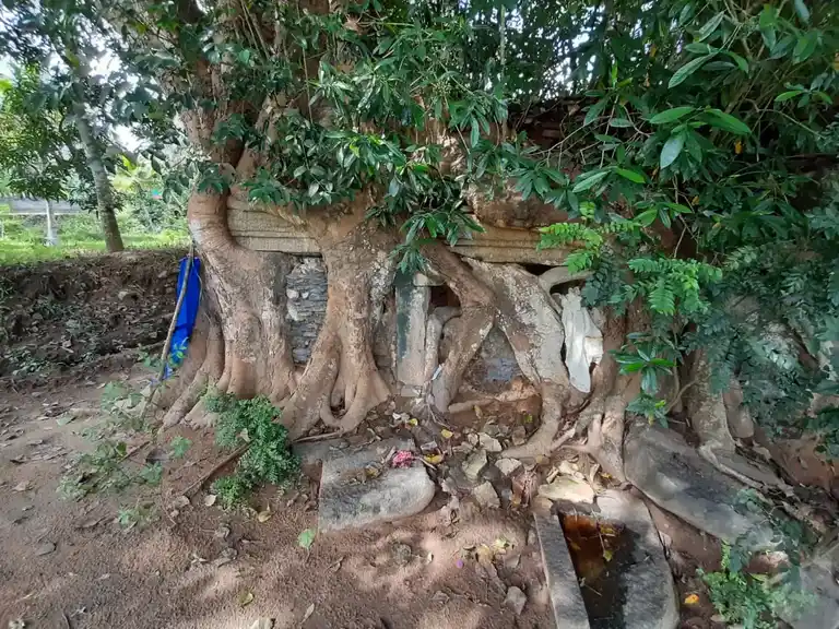 Arulmigu Srisastha Temple, Erukalambadu, Keelmidalam - 629157 அருள்மிகு ஸ்ரீசாஸ்தா திருக்கோயில், Erukalambadu, Keelmidalam - 629157, Kanyakumari - Ancient Temple Architecture and History Image 4