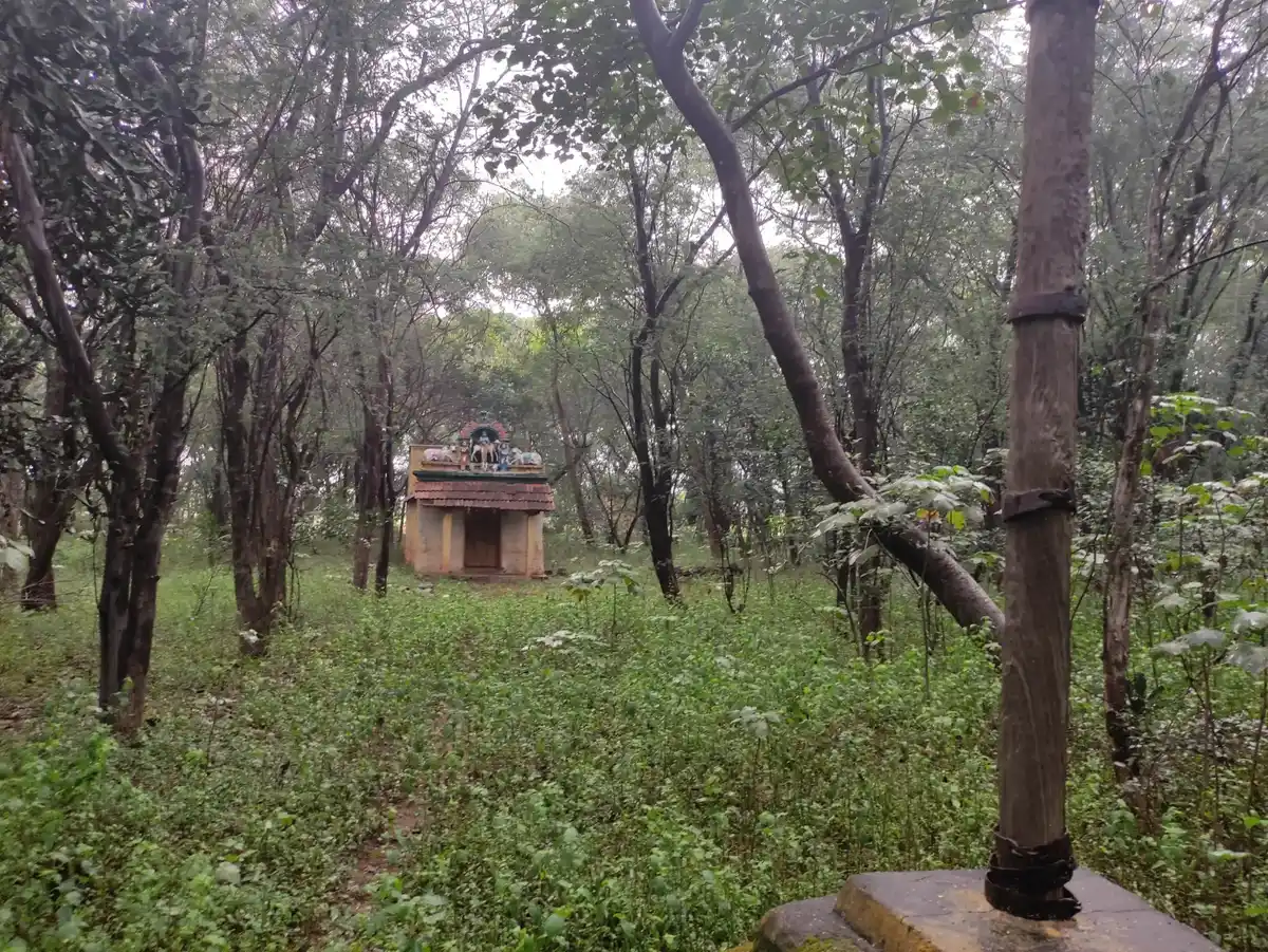 Arulmigu Sthalam Perumal Temple, Kottur - 624215 அருள்மிகு ஸ்தலம் பெருமாள் திருக்கோயில், Kottur - 624215, Dindigul - Ancient Temple Architecture and History Image 4