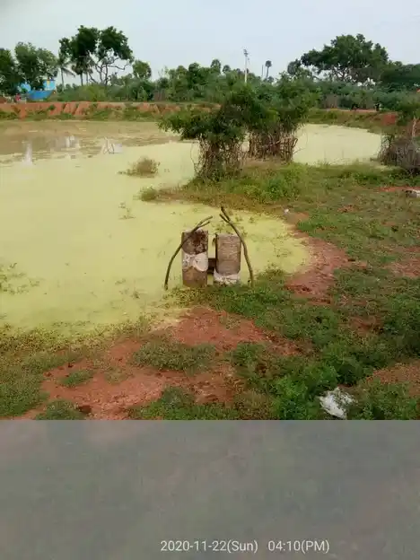 Arulmigu Subiramaniya Samy Temple, Peerkankurichi, Peerkankurichi - 627702 அருள்மிகு சுப்பிரமணியசாமி திருக்கோயில், பீர்க்கன் குறிச்சி, பீர்க்கன் குறிச்சி - 627702, Ramanathapuram - Ancient Temple Architecture and History Image 2