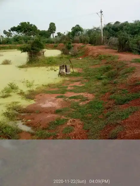 Arulmigu Subiramaniya Samy Temple, Peerkankurichi, Peerkankurichi - 627702 அருள்மிகு சுப்பிரமணியசாமி திருக்கோயில், பீர்க்கன் குறிச்சி, பீர்க்கன் குறிச்சி - 627702, Ramanathapuram - Ancient Temple Architecture and History Image 3