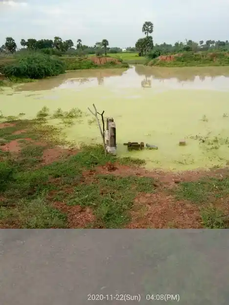 Arulmigu Subiramaniya Samy Temple, Peerkankurichi, Peerkankurichi - 627702 அருள்மிகு சுப்பிரமணியசாமி திருக்கோயில், பீர்க்கன் குறிச்சி, பீர்க்கன் குறிச்சி - 627702, Ramanathapuram - Ancient Temple Architecture and History Image 4