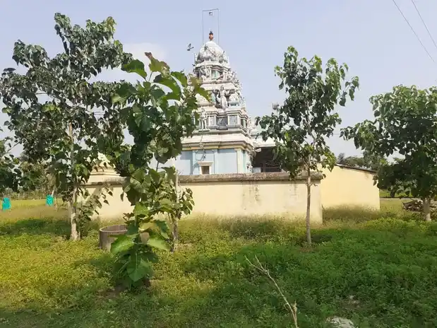 Arulmigu Subramainya Swamy Temple, Pulavangadu - 614625 அருள்மிகு சுப்பிரமணிய சுவாமி திருக்கோயில், Pulavangadu - 614625, Thanjavur - Ancient Temple Architecture and History Image 3