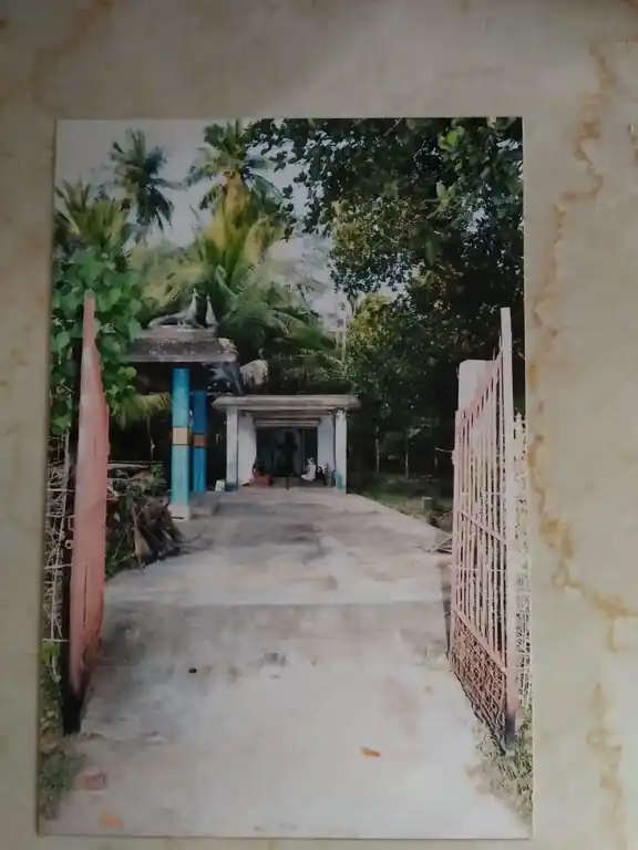 Arulmigu Subramania Swami Temple, Kadalangudi - 609501 அருள்மிகு சுப்ரமணியசுவாமி திருக்கோயில், கடலங்குடி - 609501, Thiruvarur - Ancient Temple Architecture and History Image 3