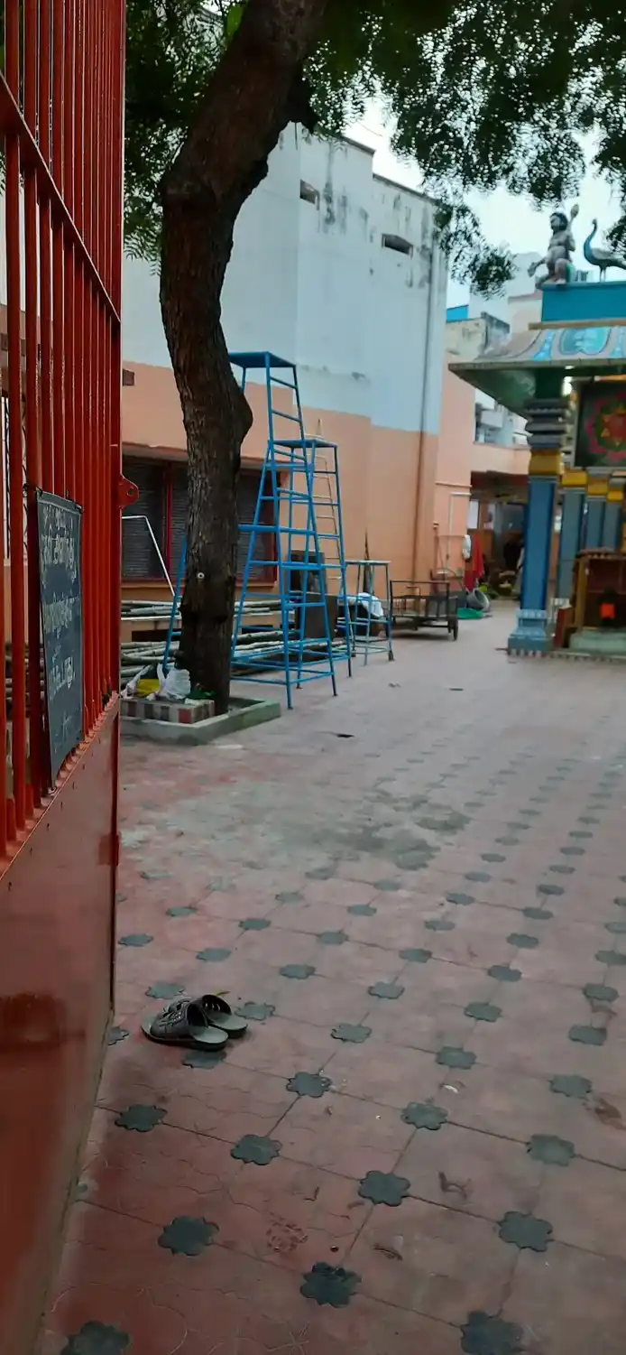 Arulmigu Subramania Swamy Temple, Rajapalayam, Rajapalayam - 626117 அருள்மிகு சுப்ரமணியசுவாமி திருக்கோயில், இராஜபாளையம், இராஜபாளையம் நகர் - 626117, Virudhunagar - Ancient Temple Architecture and History Image 2