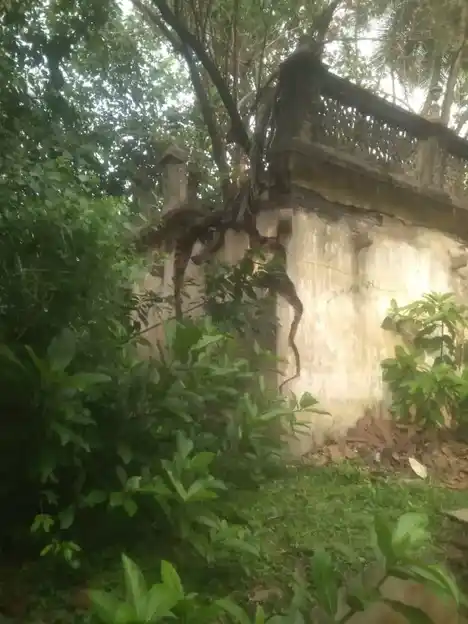 Arulmigu Subramaniasami Temple, Sathanur - 609802 அருள்மிகு சுப்ரமணிய சுவாமி திருக்கோயில், Sathanur - 609802, Thanjavur - Ancient Temple Architecture and History Image 3