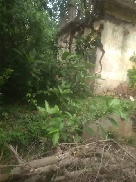 Arulmigu Subramaniasami Temple, Sathanur - 609802 அருள்மிகு சுப்ரமணிய சுவாமி திருக்கோயில், Sathanur - 609802, Thanjavur - Ancient Temple Architecture and History Image 4