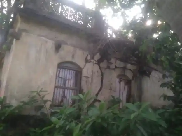 Arulmigu Subramaniasami Temple, Sathanur - 609802 அருள்மிகு சுப்ரமணிய சுவாமி திருக்கோயில், Sathanur - 609802, Thanjavur - Ancient Temple Architecture and History Image 5