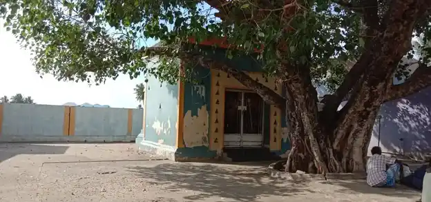 Arulmigu Subramaniasamy Temple, Nadupatu - 606806 அருள்மிகு சுப்பிரமணியசுவாமி திருக்கோயில், Nadupatu - 606806, Tiruvannamalai - Ancient Temple Architecture and History Image 4