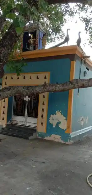 Arulmigu Subramaniasamy Temple, Nadupatu - 606806 அருள்மிகு சுப்பிரமணியசுவாமி திருக்கோயில், Nadupatu - 606806, Tiruvannamalai - Ancient Temple Architecture and History Image 7