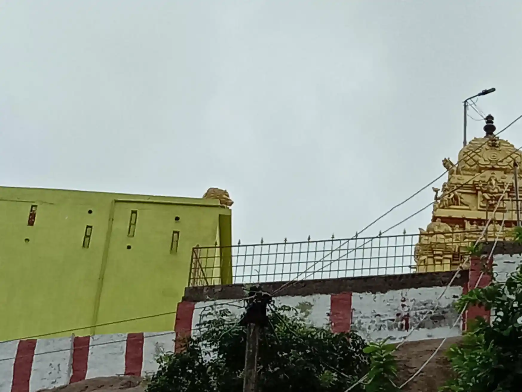 Arulmigu Subramaniya Swami Temple, Gurumapalayam - 632102 அருள்மிகு சுப்பிரமணியசுவாமி திருக்கோயில், குருமபாளையம் - 632102, Vellore - Ancient Temple Architecture and History Image 3