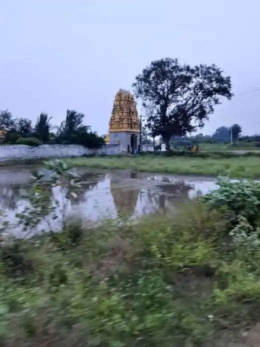 Arulmigu Subramaniya Swami Temple, Kalavai - 632506 அருள்மிகு சுப்பிரமணிய சுவாமி திருக்கோயில், கலவை - 632506, Ranipet - Ancient Temple Architecture and History Image 3