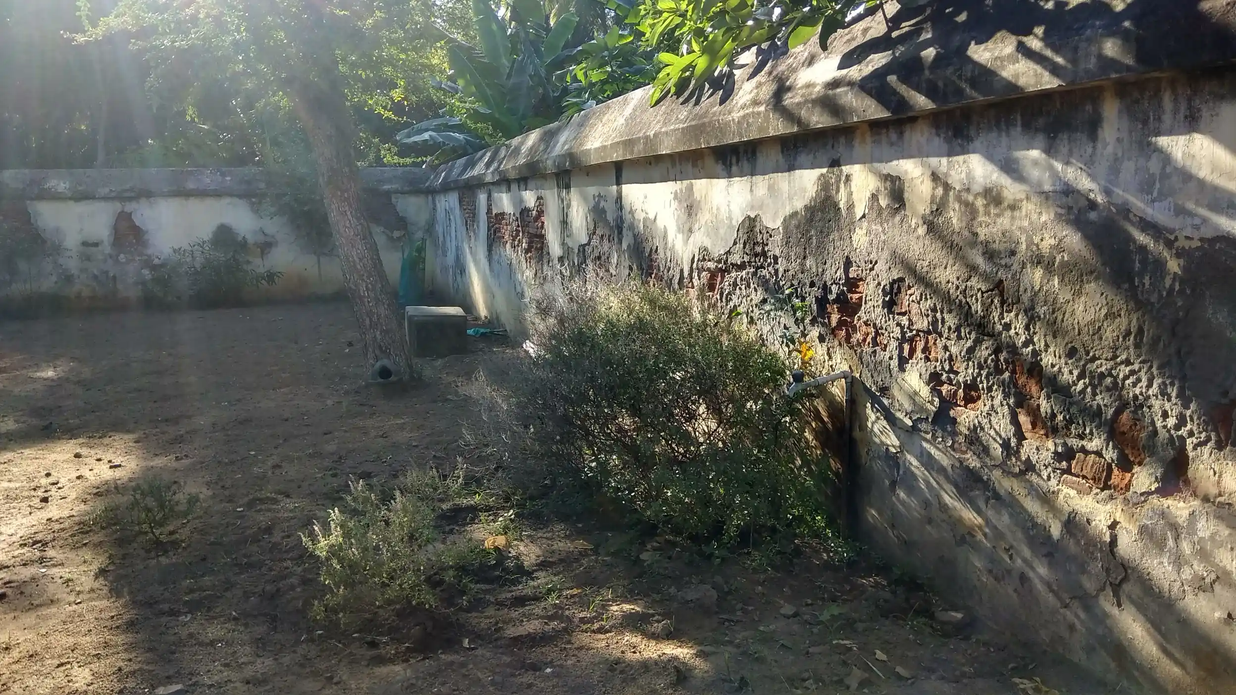 Arulmigu Subramaniya Swamy Temple, Eluppakkorai - 614202 அருள்மிகு சுப்பிரமணியசுவாமி திருக்கோயில், Eluppakkorai - 614202, Thanjavur - Ancient Temple Architecture and History Image 4