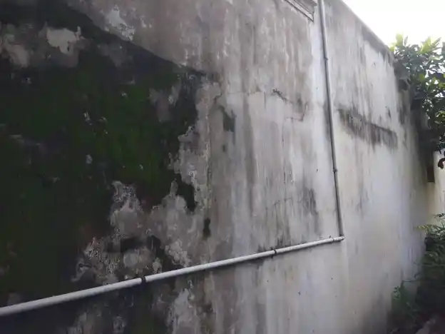 Arulmigu Subramaniya Swamy Temple, K.N.Pettai - 607401 அருள்மிகு சுப்ரமணியசாமி திருக்கோயில், K.N.Pettai - 607401, Cuddalore - Ancient Temple Architecture and History Image 3