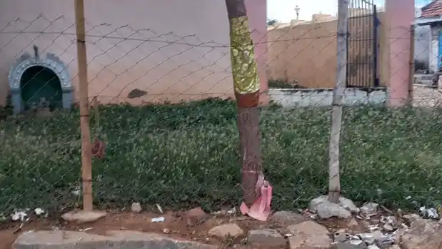 Arulmigu Subramaniya Swamy Temple, Moongilpadi - 621708 அருள்மிகு சுப்பிரமணியசுவாமி திருக்கோயில், Moongilpadi - 621708, Perambalur - Ancient Temple Architecture and History Image 3