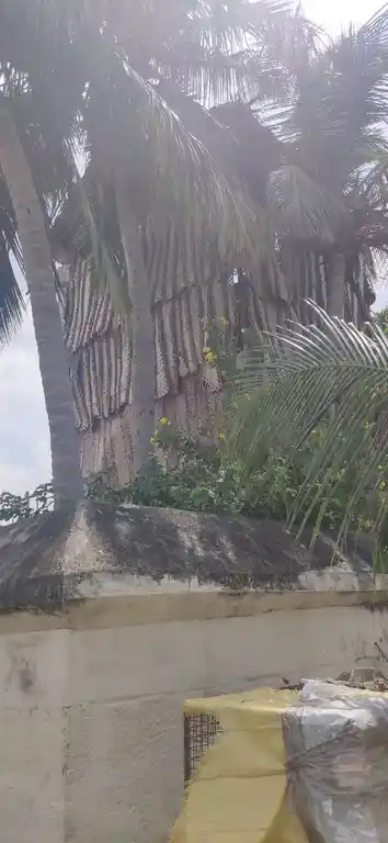 Arulmigu Subramaniya Swamy Temple, Perali - 621708 அருள்மிகு சுப்பிரமணியசுவாமி திருக்கோயில், Perali - 621708, Perambalur - Ancient Temple Architecture and History Image 3