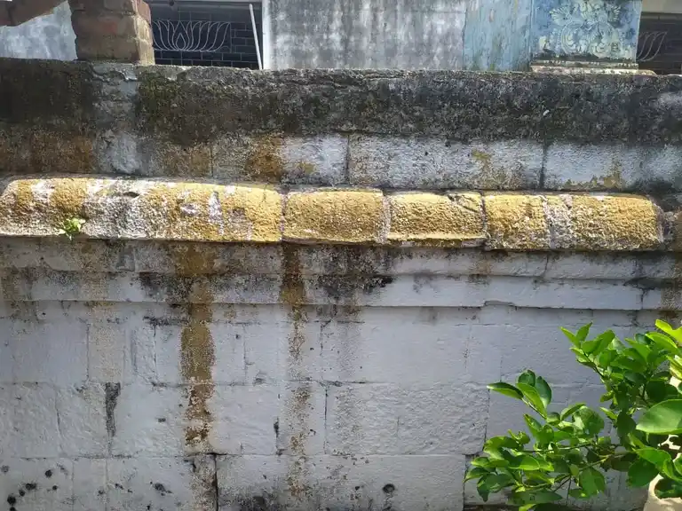 Arulmigu Subramaniya Swamy Temple, Puduvettakudi - 621716 அருள்மிகு சுப்பிரமணிய சுவாமி திருக்கோயில், Puduvettakudi - 621716, Perambalur - Ancient Temple Architecture and History Image 4