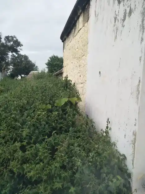 Arulmigu Subramaniya Swamy Temple, Thimmaapuram - 606201 அருள்மிகு சுப்பிரமணியசாமி திருக்கோயில், Thimmaapuram - 606201, Kallakurichi - Ancient Temple Architecture and History Image 3