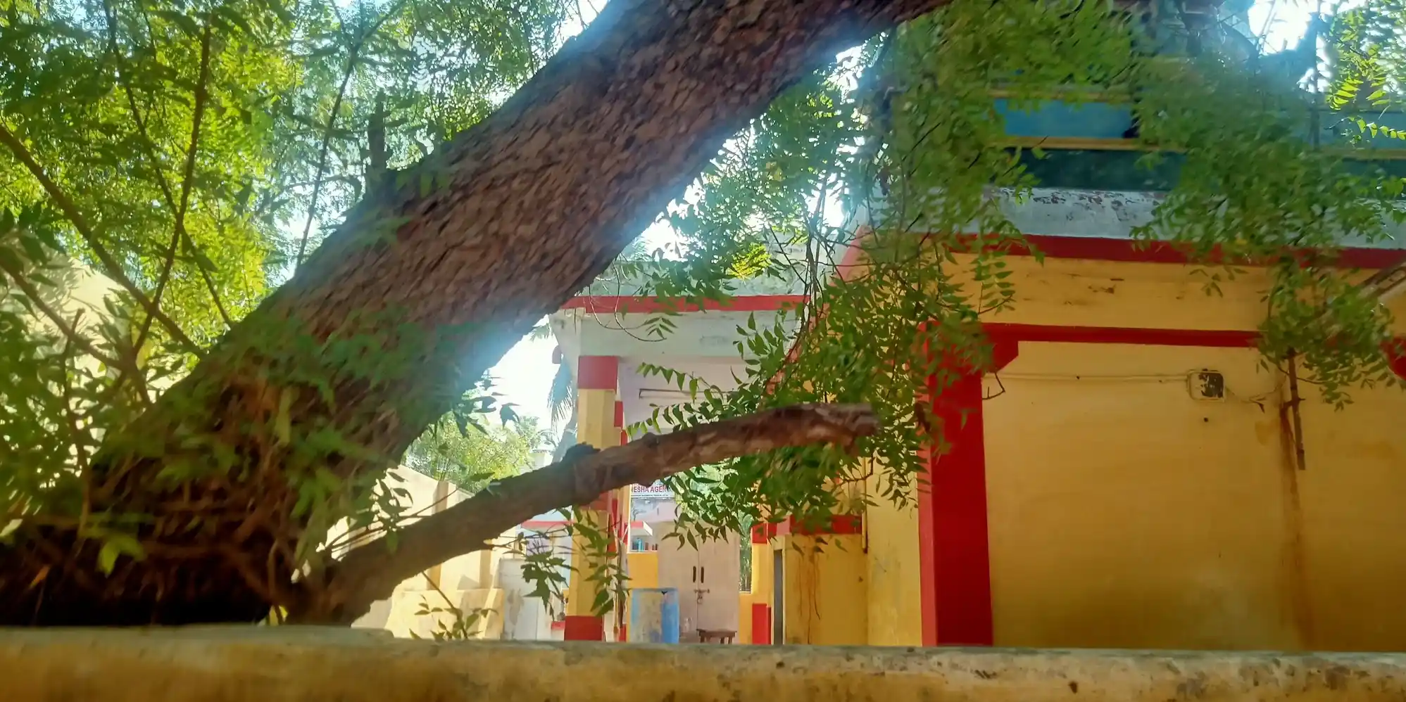 Arulmigu Subramaniya Swamy Temple, V.M. Chathiram - 627002 சுப்பிரரமணியசுவாமி, V.M. Chathiram - 627002, Tirunelveli - Ancient Temple Architecture and History Image 3