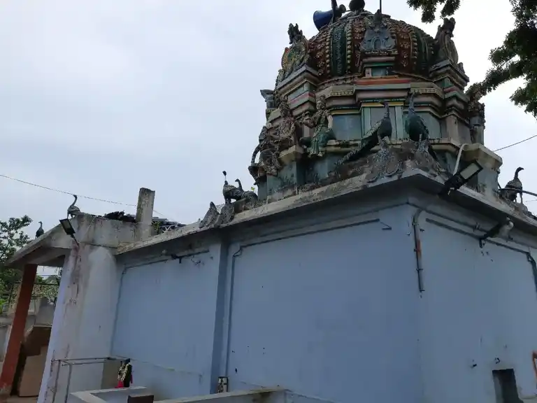 Arulmigu Subramaniyar Temple, Gangaikondan - 607802 அருள்மிகு. சுப்ரமணியர் திருக்கோயில்,  - 607802, Cuddalore - Ancient Temple Architecture and History Image 5