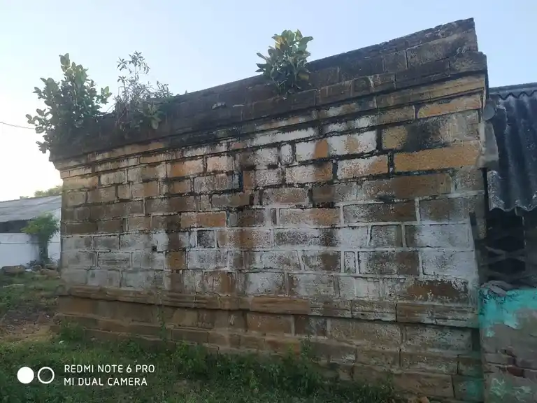 Arulmigu Subramaniyasami Temple, Molvai - 621652 Arulmigu Subramaniyasami Temple, Molvai - 621652, Thiruchirappalli - Ancient Temple Architecture and History Image 2