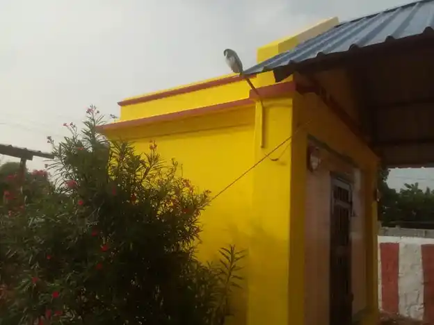 Arulmigu Subramaniyasamy Temple, Sivagalai - 628753 அருள்மிகு சுப்பிரமணியசாமி திருக்கோயில், Sivagalai - 628753, Thoothukudi - Ancient Temple Architecture and History Image 6