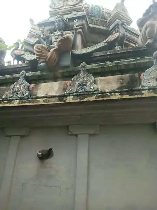 Arulmigu Subramaniyaswami Temple, Elanangoor - 608302 அருள்மிகு சுப்பரமணியசுவாமி திருக்கோயில், Elanangoor - 608302, Cuddalore - Ancient Temple Architecture and History Image 5