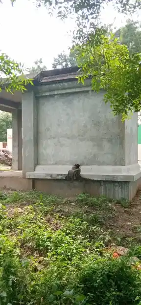 Arulmigu Subramaniyaswamy Temple, Aathigudi - 621607 Arulmigu Subramaniyaswamy Temple, Aathigudi - 621607, Thiruchirappalli - Ancient Temple Architecture and History Image 2