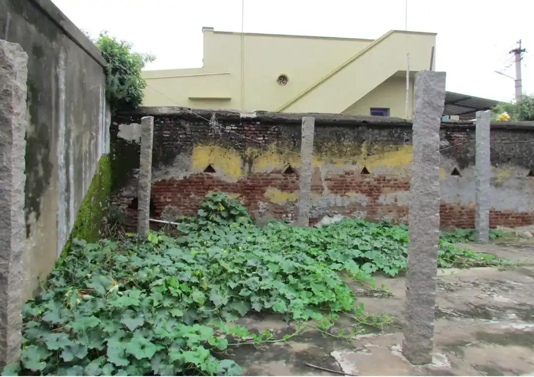 Arulmigu Subramaniyaswamy Temple, Ammaiyagaram - 606201 அருள்மிகு சுப்ரமணியசுவாமி திருக்கோயில், அம்மையகரம் - 606201, Kallakurichi - Ancient Temple Architecture and History Image 6