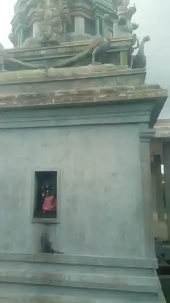 Arulmigu Subramaniyaswamy Temple, Badharpettai - 621002 Arulmigu subramaniyaswamy Temple, Badharpettai - 621002, Thiruchirappalli - Ancient Temple Architecture and History Image 2