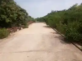 Arulmigu Subramaniyaswamy Temple, Devanoor - 621211 Arulmigu Subramaniyaswamy Temple, Devanoor - 621211, Thiruchirappalli - Ancient Temple Architecture and History Image 3