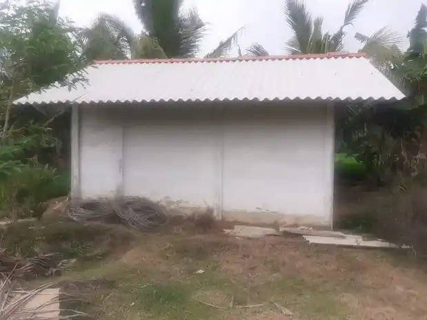 Arulmigu Subramaniyaswamy Temple, Ettupulikkadu - 614901 அருள்மிகு சுப்பிரமணிய சுவாமி திருக்கோயில், Ettupulikkadu - 614901, Thanjavur - Ancient Temple Architecture and History Image 2