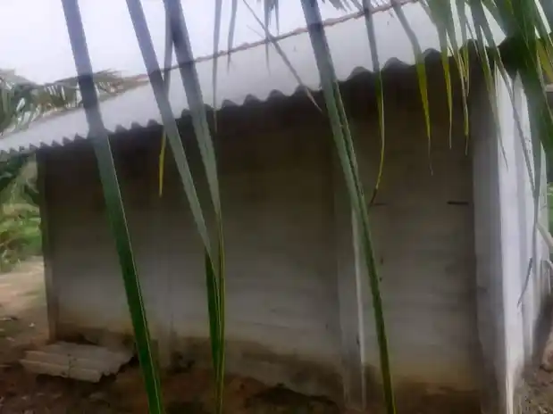 Arulmigu Subramaniyaswamy Temple, Ettupulikkadu - 614901 அருள்மிகு சுப்பிரமணிய சுவாமி திருக்கோயில், Ettupulikkadu - 614901, Thanjavur - Ancient Temple Architecture and History Image 3