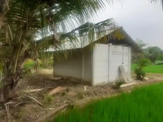 Arulmigu Subramaniyaswamy Temple, Ettupulikkadu - 614901 அருள்மிகு சுப்பிரமணிய சுவாமி திருக்கோயில், Ettupulikkadu - 614901, Thanjavur - Ancient Temple Architecture and History Image 4