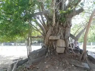 Arulmigu Subramaniyaswamy Temple, Kaanadu - 614621 அருள்மிகு சுப்பிரமணியசுவாமி திருக்கோயில், Kaanadu - 614621, Pudukkottai - Ancient Temple Architecture and History Image 2