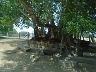 Arulmigu Subramaniyaswamy Temple, Kaanadu - 614621 அருள்மிகு சுப்பிரமணியசுவாமி திருக்கோயில், Kaanadu - 614621, Pudukkottai - Ancient Temple Architecture and History Image 3