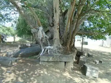 Arulmigu Subramaniyaswamy Temple, Kaanadu - 614621 அருள்மிகு சுப்பிரமணியசுவாமி திருக்கோயில், Kaanadu - 614621, Pudukkottai - Ancient Temple Architecture and History Image 4