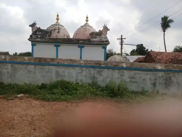Arulmigu Subramaniyaswamy Temple, Koppampatti - 622203 அருள்மிகு சுப்பிரமணியசுவாமி திருக்கோயில், கொப்பம்பட்டி - 622203, Pudukkottai - Ancient Temple Architecture and History Image 3