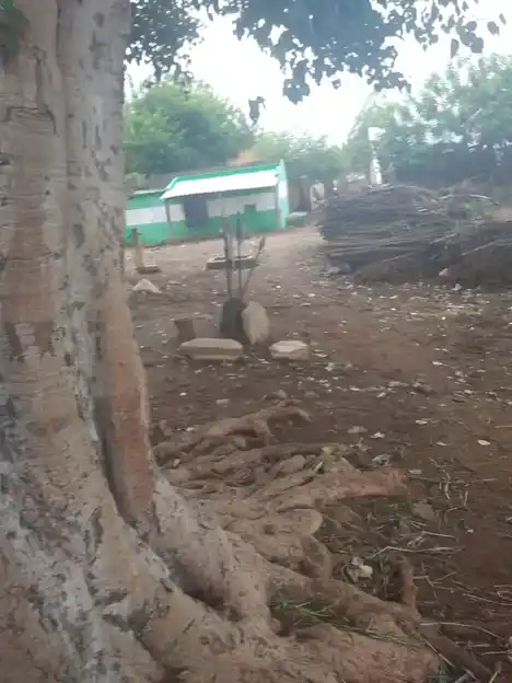 Arulmigu Subramaniyaswamy Temple, Kottaikaraiyanpatti - 621306 Arulmigu Subramaniyaswamy Temple, Kottaikaraiyanpatti - 621306, Thiruchirappalli - Ancient Temple Architecture and History Image 2