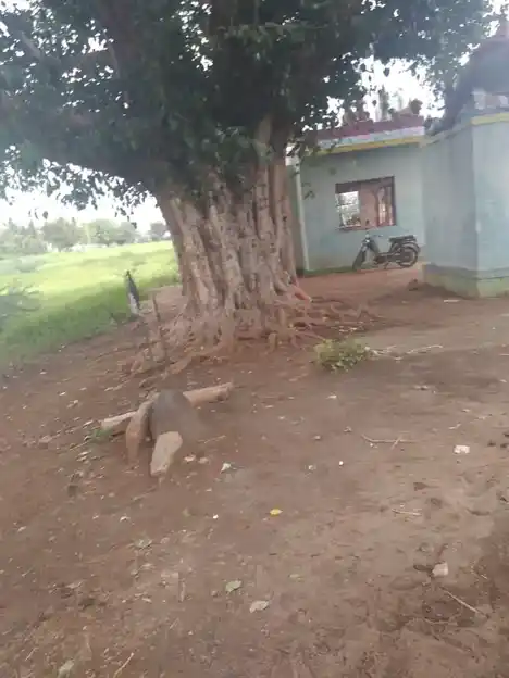 Arulmigu Subramaniyaswamy Temple, Kottaikaraiyanpatti - 621306 Arulmigu Subramaniyaswamy Temple, Kottaikaraiyanpatti - 621306, Thiruchirappalli - Ancient Temple Architecture and History Image 3