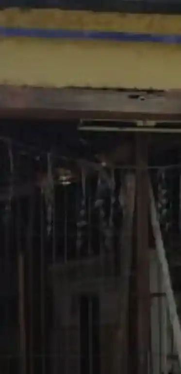 Arulmigu Subramaniyaswamy Temple, Kovathakudi - 621005 Arulmigu Subramaniyaswamy Temple, Kovathakudi - 621005, Thiruchirappalli - Ancient Temple Architecture and History Image 9