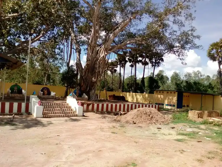 Arulmigu Subramaniyaswamy Temple, Merpanaikaadu - 614624 அருள்மிகு சுப்பிரமணியசுவாமி திருக்கோயில், Merpanaikaadu - 614624, Pudukkottai - Ancient Temple Architecture and History Image 4