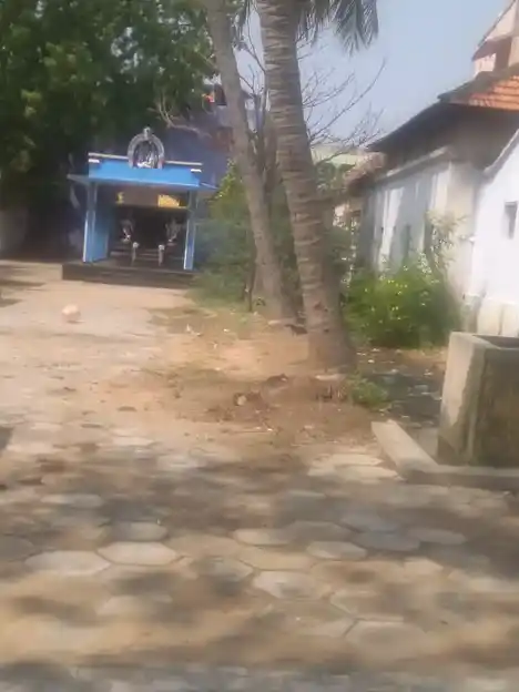 Arulmigu Subramaniyaswamy Temple, Mudukulathur - 623704 அருள்மிகு சுப்பிரமணியசுவாமி திருக்கோயில்,  - 623704, Ramanathapuram - Ancient Temple Architecture and History Image 3